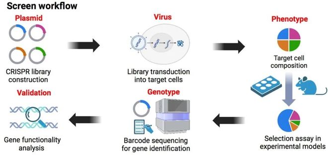 腫瘤CRISPRScreen在線平臺！重磅推薦！(圖1)