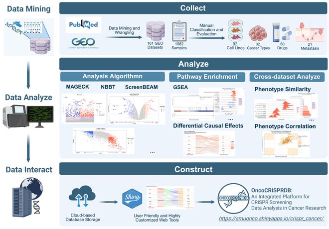 腫瘤CRISPRScreen在線平臺！重磅推薦！(圖3)